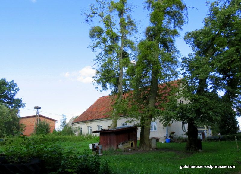 Blick von der Zufahrt