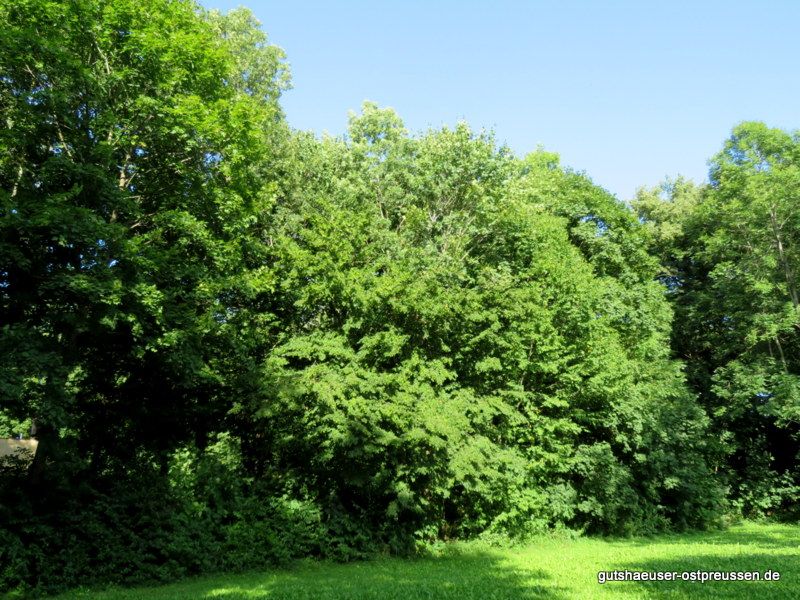 Park