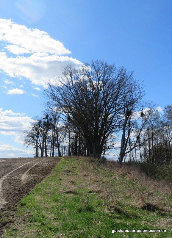 Blick zum Familienfriedhof