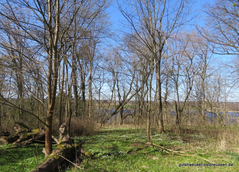 Blick vom Gutshaus zum See