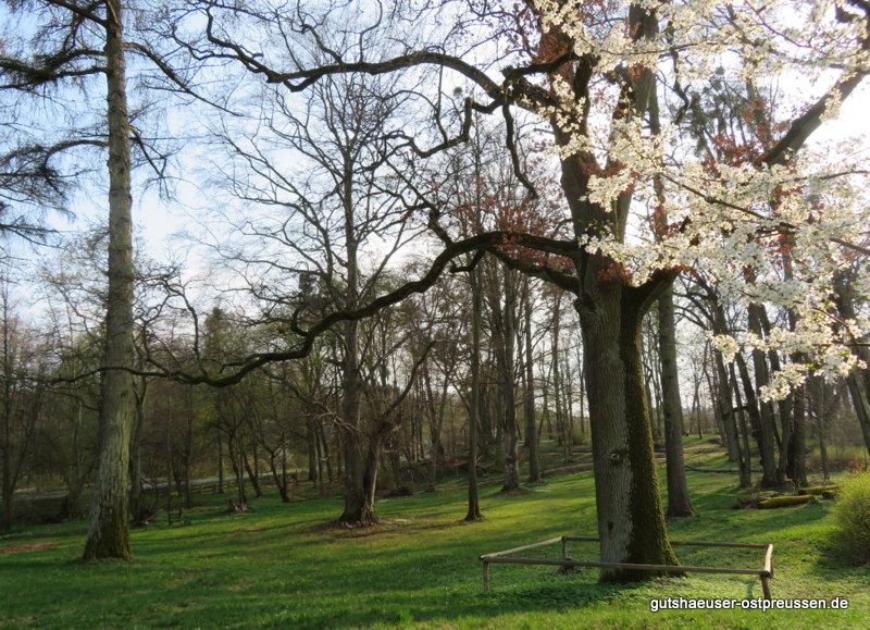 Park