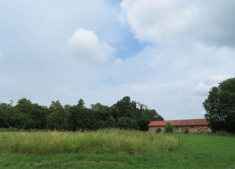 Blick zum Park und Hof