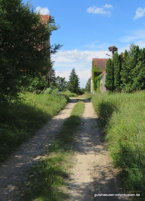 Auffahrt zum Hof