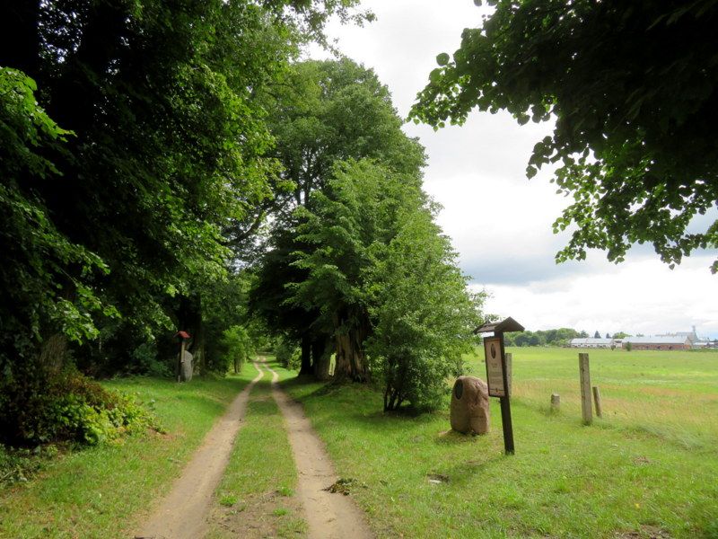 "Bischofsallee"