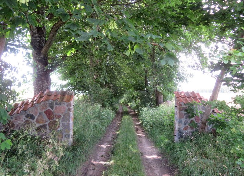 Allee nach Ludwigmühle
