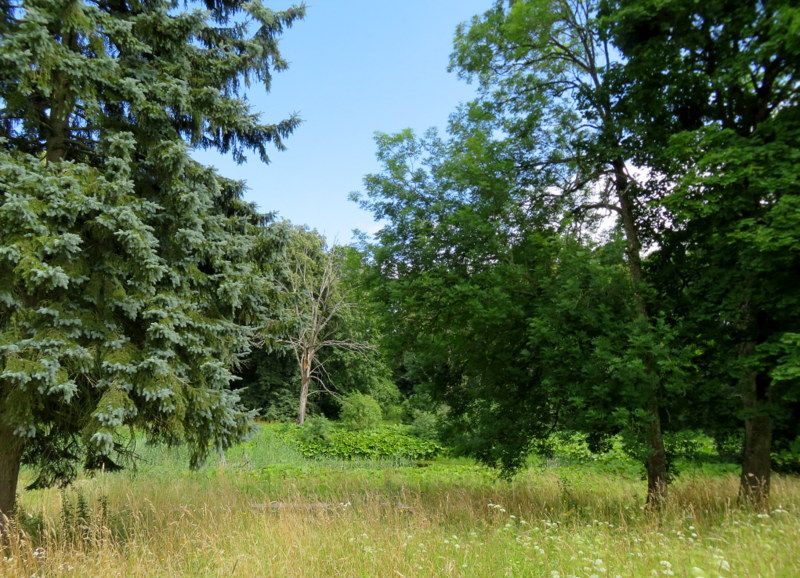 Park mit Teich